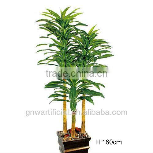 GNW G85 tropical tree plant larger pot home decoration hot sell