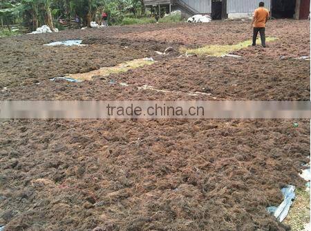Sell Spinosum Seaweeds With Good Quality