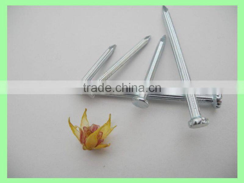 Steel Concrete Nails/Steel Nails China(factory and manufacturer)/linyi nails
