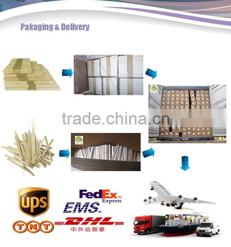 magnum and popsicle stick wood ice cream stick