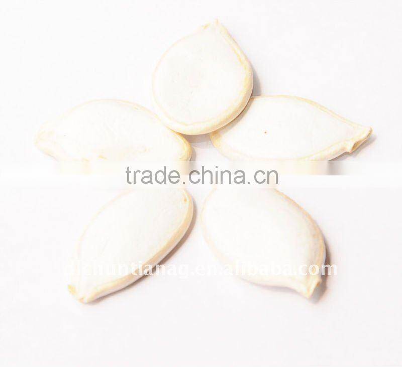 Snow White Pumpkin seed