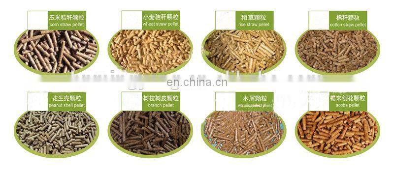 Hot Sale Wood Sawdust Chips Ring Die Wood Pellet Mill