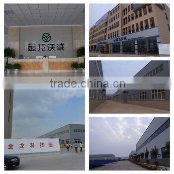 Electric Club golf cart