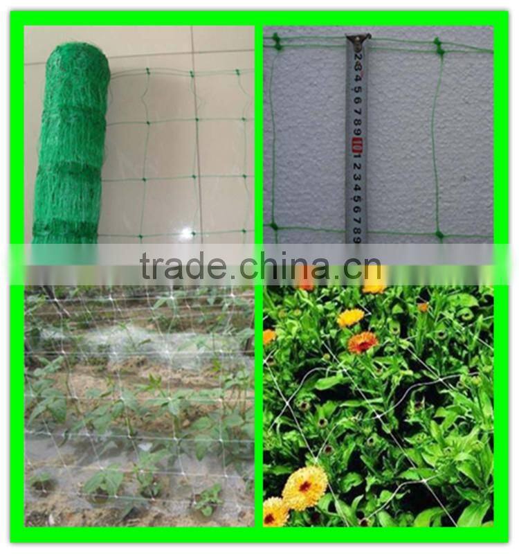 100% new material PE plastic tomato climbing net add UV additives