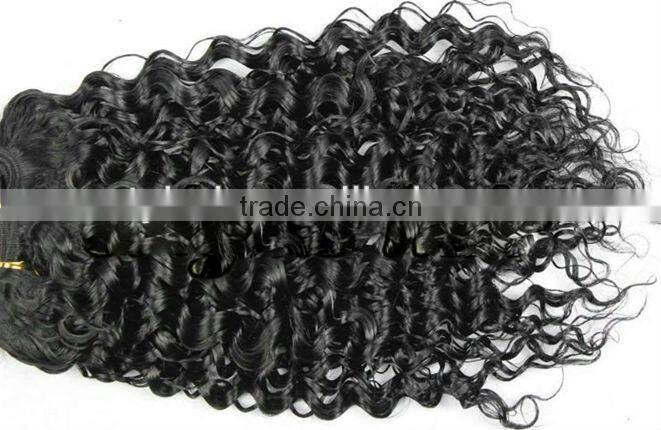 Brazilian Virgin Kinky Curly Hair Extention