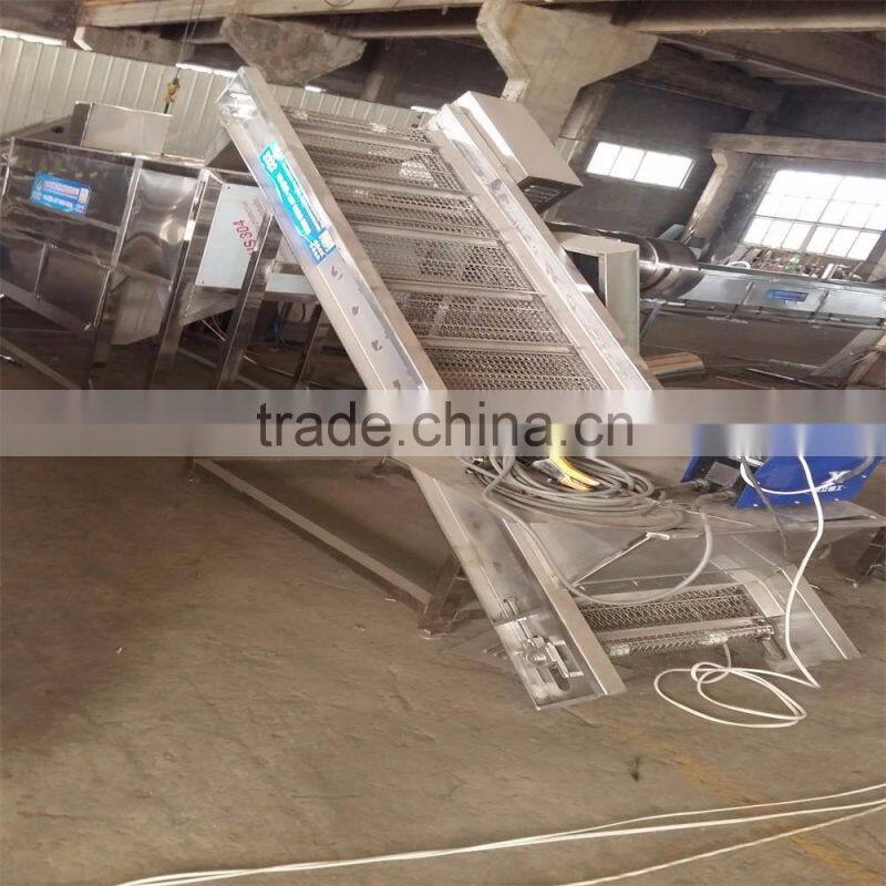 orange grading machine