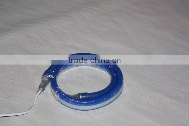 LED Neon Lighting With Blue Color Jacket