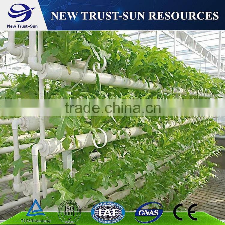 Simple low cost glass agricultural greenhouse