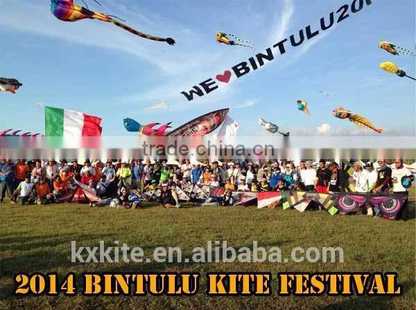 Durable Ripstop Nylon large Inflatable kite