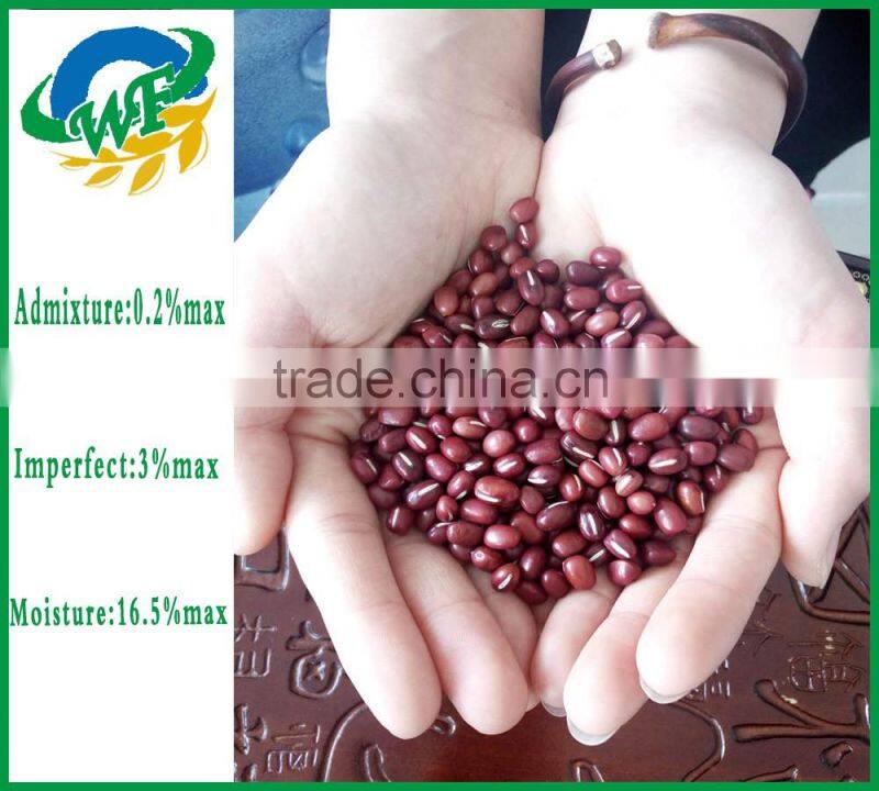 Chinese Adzuki Beans for Europ