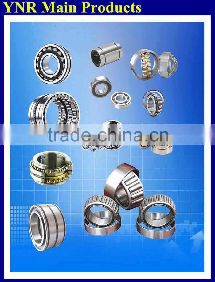Double Row Full complement Cylindrical Roller Bearing SL014934