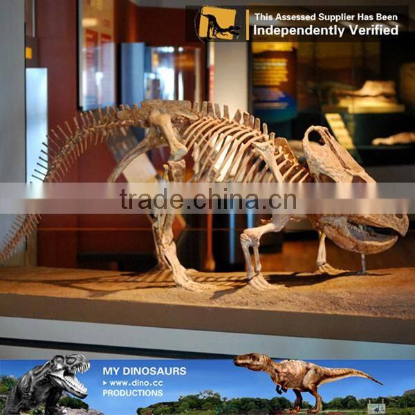 MY Dino-C062 Artificial metal skeleton on sale