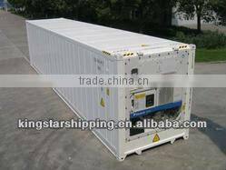 20'RF Container for frozen chicken