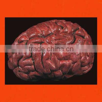 LIFE SIZE HALLOWEEN LATEX BLOODY EAR AND EYES WITH DISHWARE/HALLOWEEN DECORATION