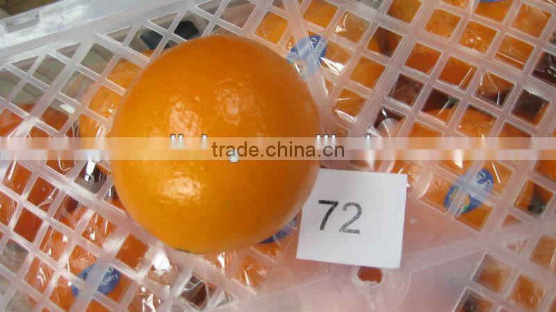 2012 best price navel orange