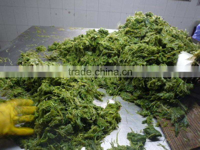 Frozen wakame stem cut salted
