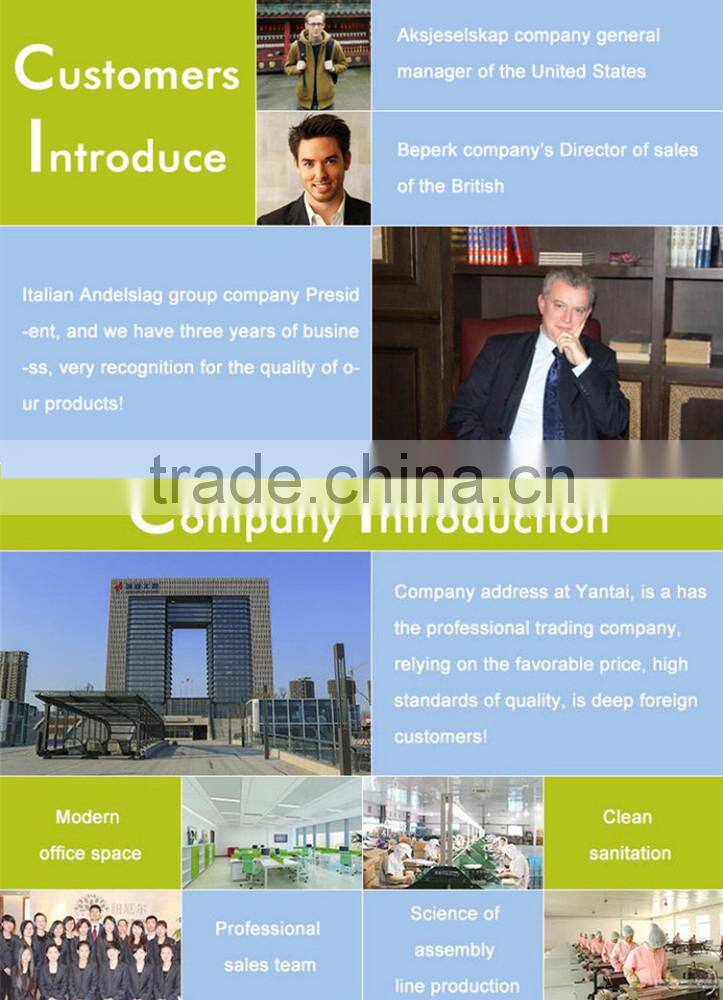 Lower price inflatable dinosaur cartoon with LED