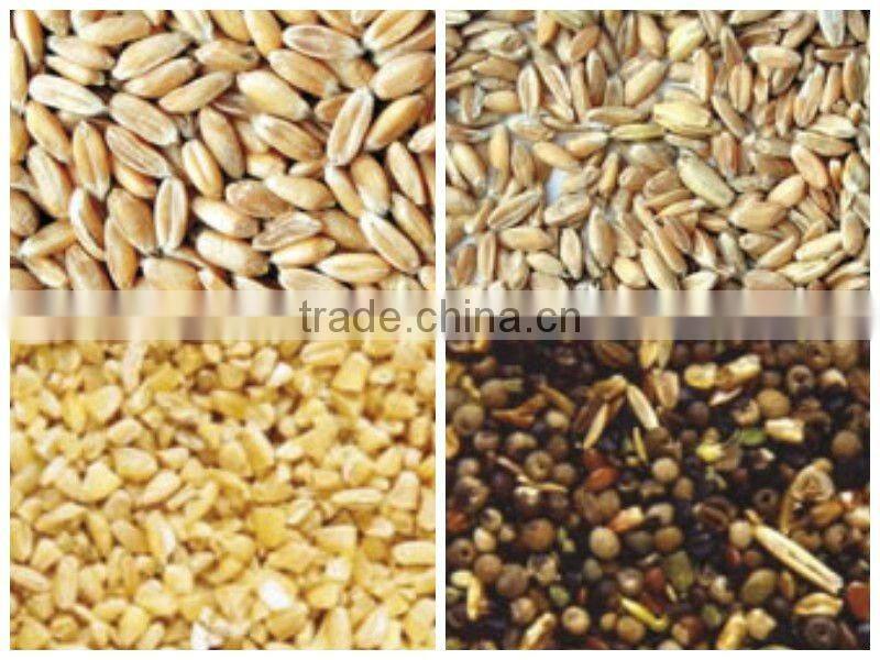 intelligent color sorting machinery