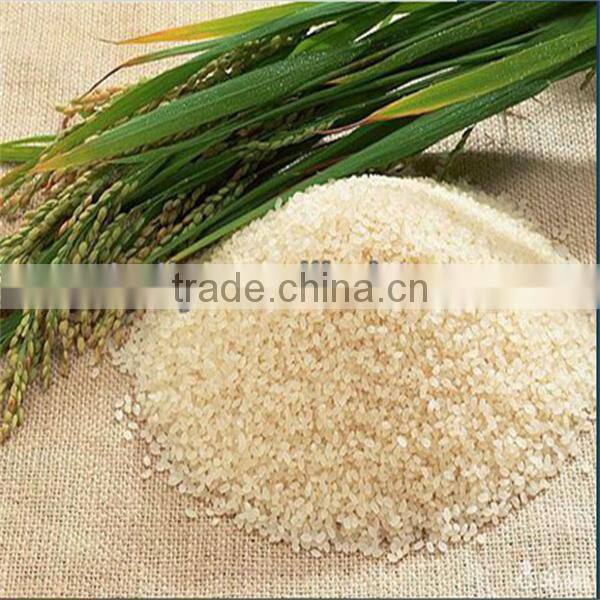 small combine brown rice milling and grinding machine 0086-13703827012