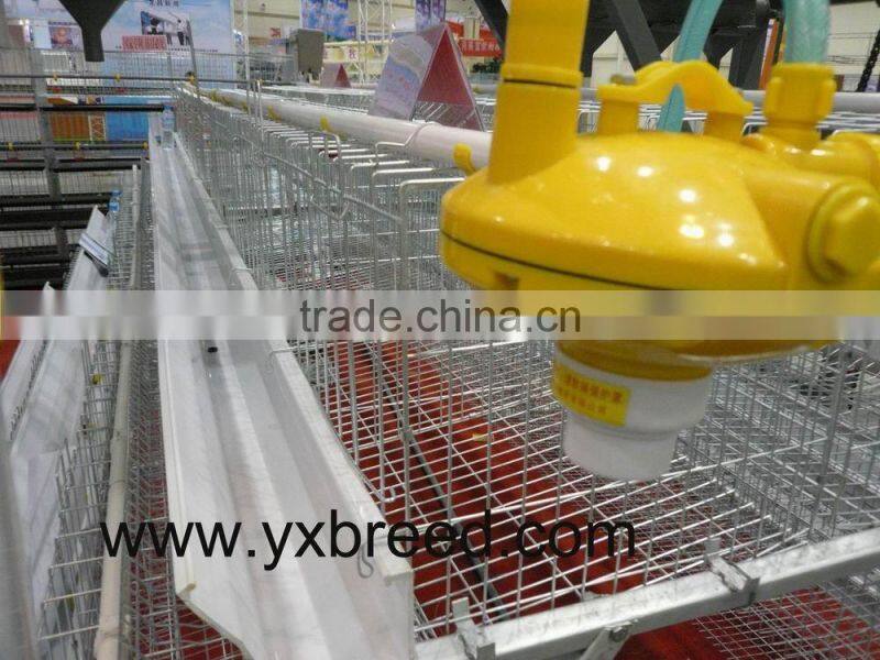 chicken cage,automatic poultry equipment,chicken layer cage