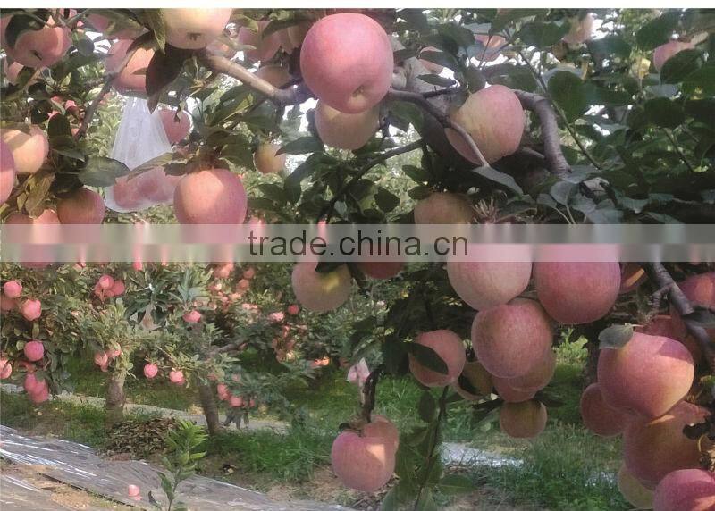 Tranlin Water-soluble fulvic acid fertilizer