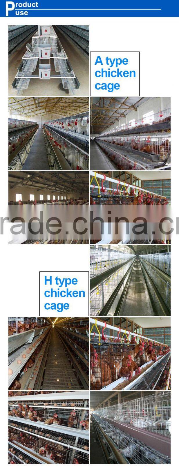 Hot sale 3 4 layer chicken cage egg chicken cage