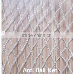 Green Color Plastic Hexagonal Mesh Chicken Net/Plastic Chicken Wire Mesh(Guangzhou stock)