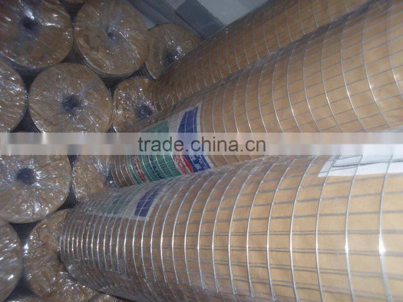 Galvanized Welded Wire Mesh Panel