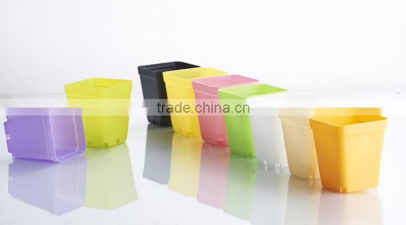 Plastic Colorful Small Square Flower Pots Without Pallet -3 inch