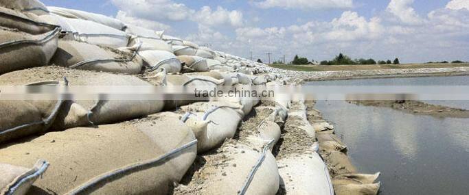 Protection Work of River Embankment