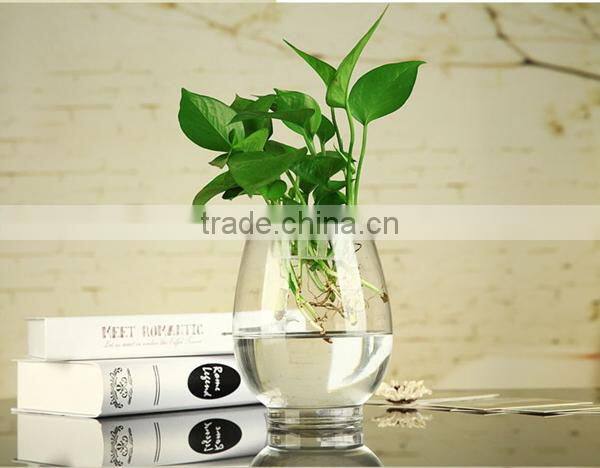flower vase glass glass bottle flower vase clear tall glass flower vase