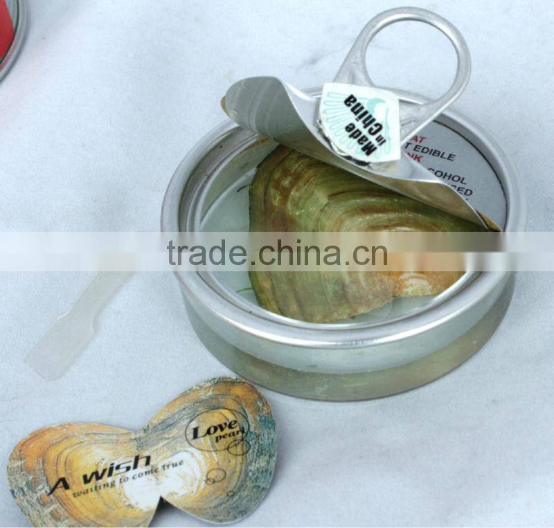 (February) Pisces wish pearl gift (English version)