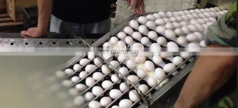 High quality Egg cleaning machine,egg washing machine