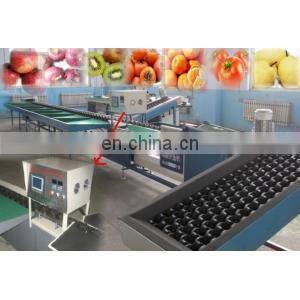 Fresh vegetable & fruit washing machine & sorting machine with the factory price