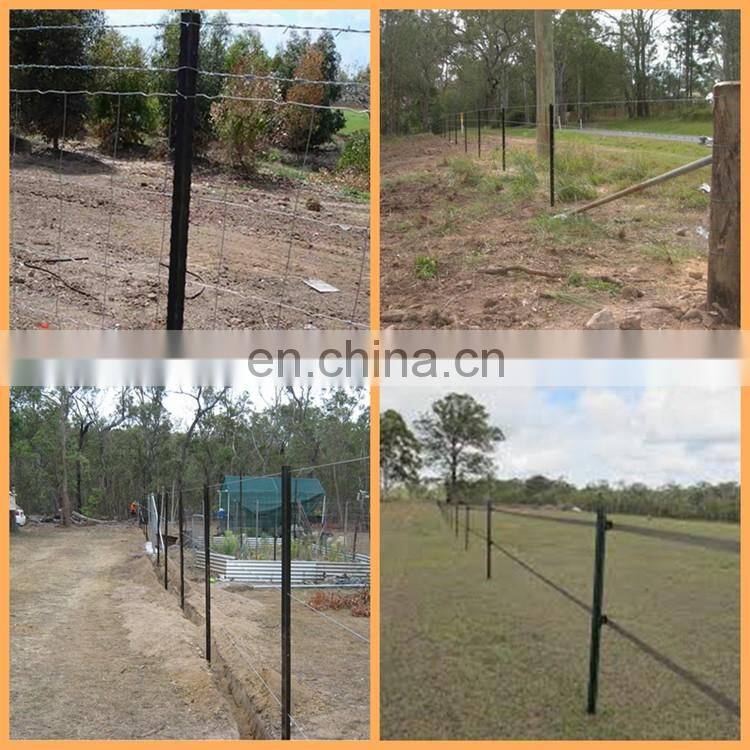 Wholesale 1.25 pound agriculture galvanized unpainted t fence post