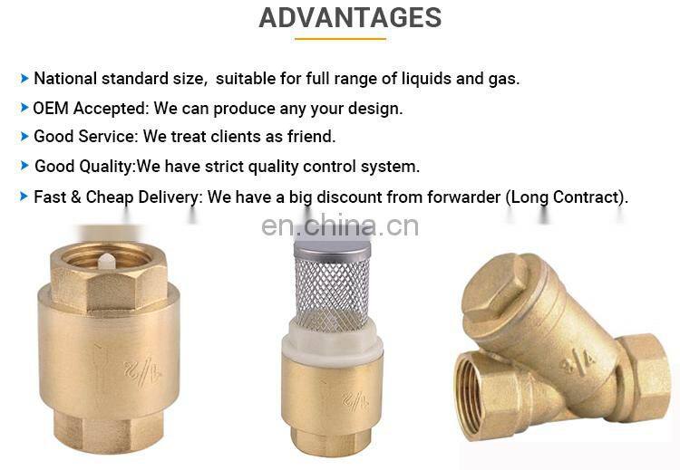 Dual Plate Duckbill Flap Vertical Dn100 Pn16 Natural Gas 8 Inch Flapper Type Swing Check Valve