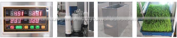 Container type 50kg farm use horse hydroponic fodder machine / Green fodder machine