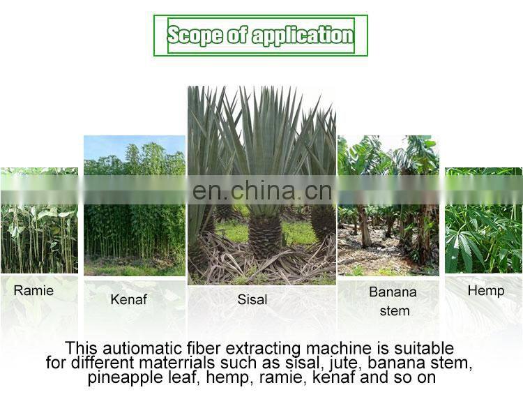 Automatic Sisal Fibre Extracting Machine/fiber Making Machine