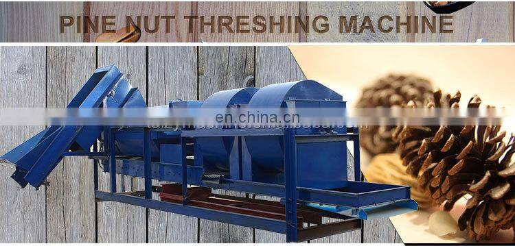 pine nut processing machine pine cone crusher pine nut cracking machine