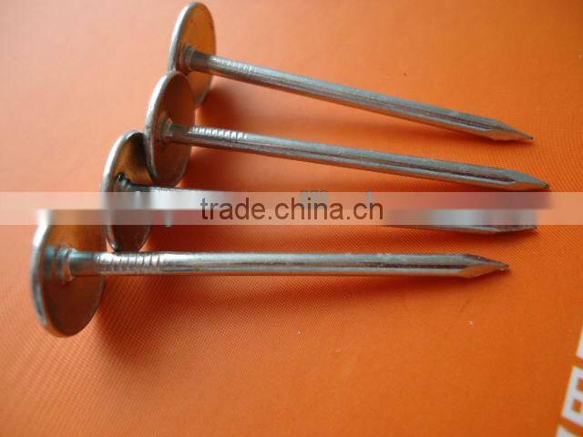 umbrella roofing nail with smooth shank