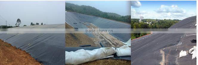 high polymer polyethylene waterproofing membrane film