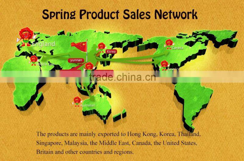 Fresh Broccoli_ Good Quality frozen broccoli spears