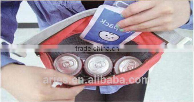 Clearance -- Thermal Cooler portable lunch box picnic bag Pouch