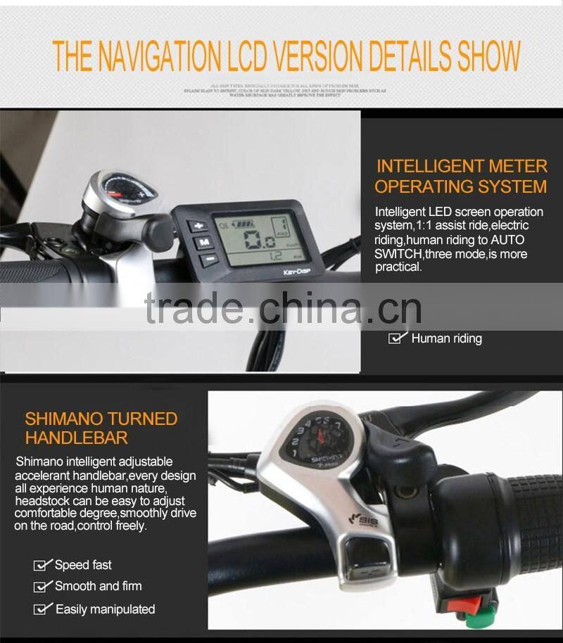 2016 Shenzhen sale electric bicycle