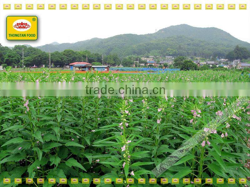 vietnam bulk sesame seeds by Thongtan foodstuff .,Ltd