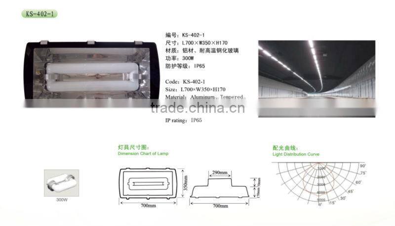 2015 250w new style alibaba product high power induction lamp tunnel light