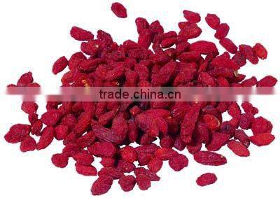 Spray dried Wolfberry Fruit Powder