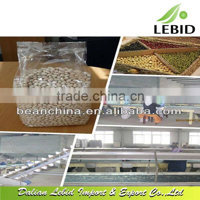 2016 new crop small round shape white navy beans