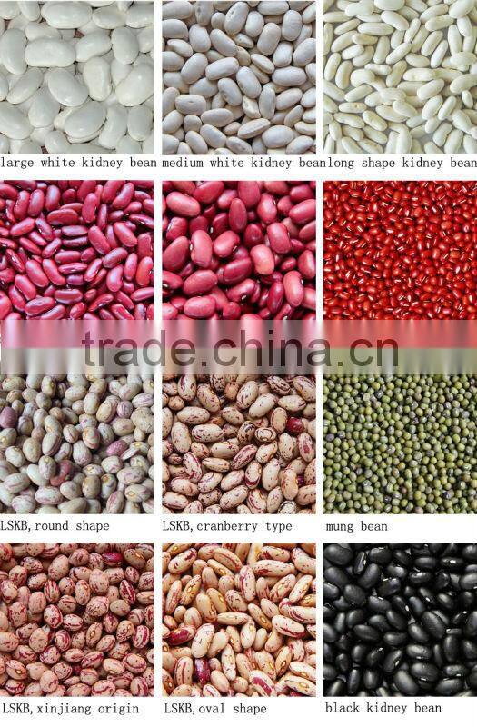 Peeled green mung beans buyer