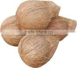 Fresh coconuts from India
